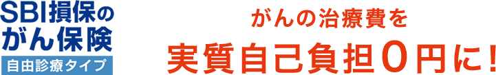 SBI損保のがん保険 がんの治療費を実質自己負担0円に！