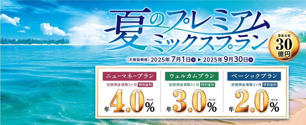 夏のプレミアムミックスプラン