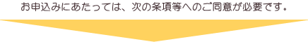 お申込みにあたっては、次の条項等へのご同意が必要です。